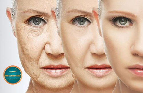 collagen la gi 3 tac dung cua collagen 123