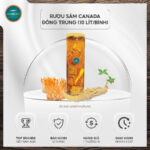 Rượu Sâm Canada Đông Trùng Hạ Thảo