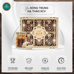 Yến Đông Trùng Hạ Thảo
