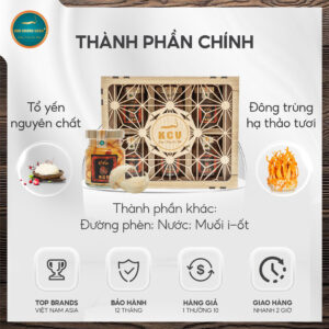 Yến Đông Trùng Hạ Thảo