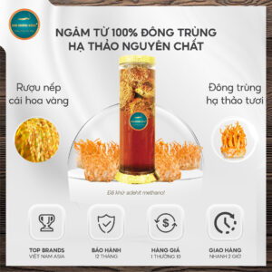 rượu đông trùng hạ thảo