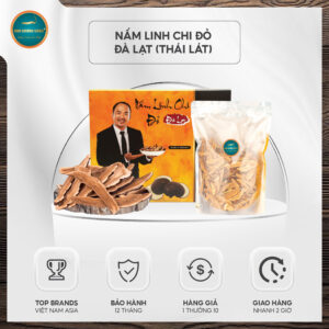 nấm linh chi đỏ Đà Lạt