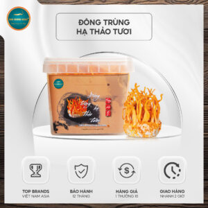 Đông Trùng Hạ Thảo tươi