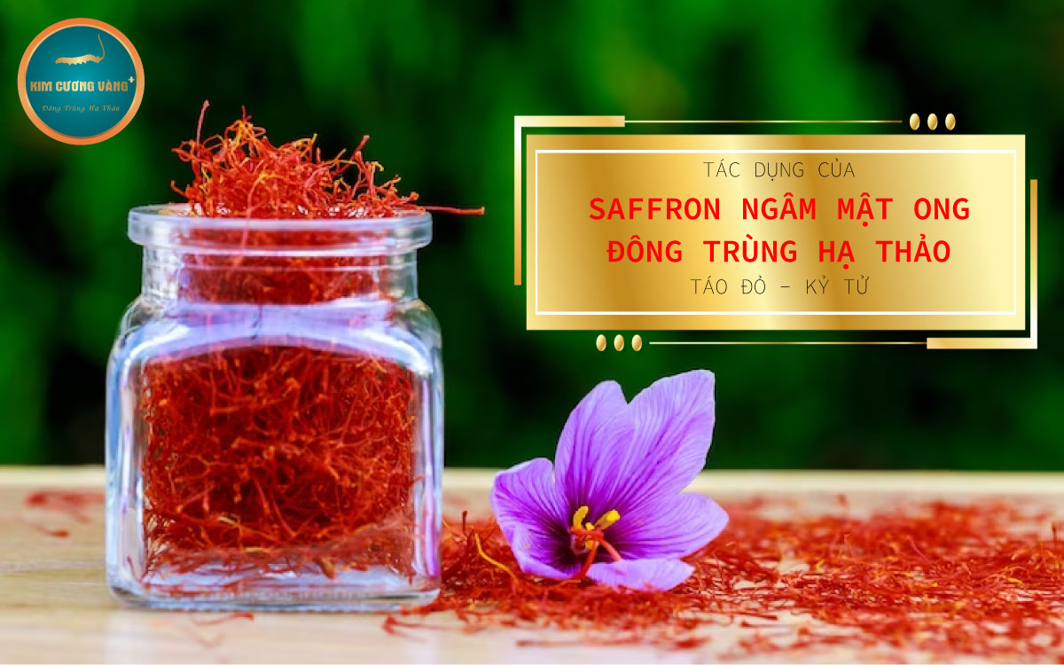 tác dụng của saffron ngâm mật ong đông trùng