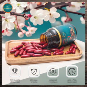 đông-trùng-hạ-thảo-linh-chi-nhung-hươu-tiến-luật-kim-cương-vàng