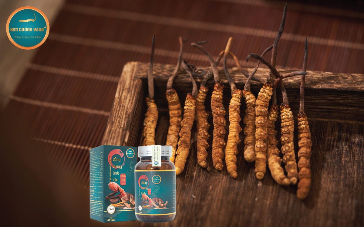 đông-trùng-linh-chi-nhung-hươu-kim-cương-vàng-tiến-luật