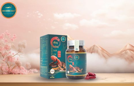 Đông Trùng Hạ Thảo Kim Cương Vàng Tiến Luật Linh Chi Nhung Huơu