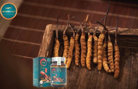 đông-trùng-linh-chi-nhung-hươu-kim-cương-vàng-tiến-luật