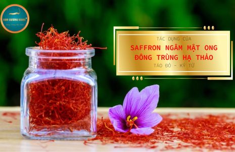 tác dụng của saffron ngâm mật ong đông trùng