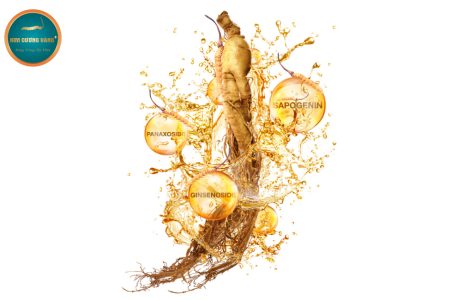 tác dụng nhân sâm đông trùng hạ thảo góc nhìn y học